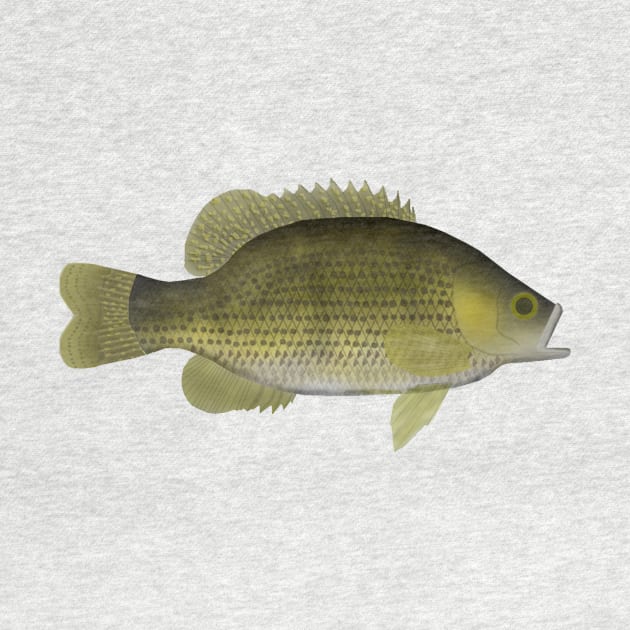 Rock Bass by FishFolkArt